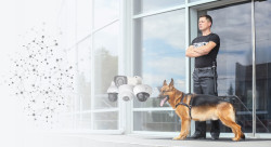 Maitre-chien pour surveiller un parking  