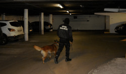 Service de surveillance nocturne disponible le weekend   